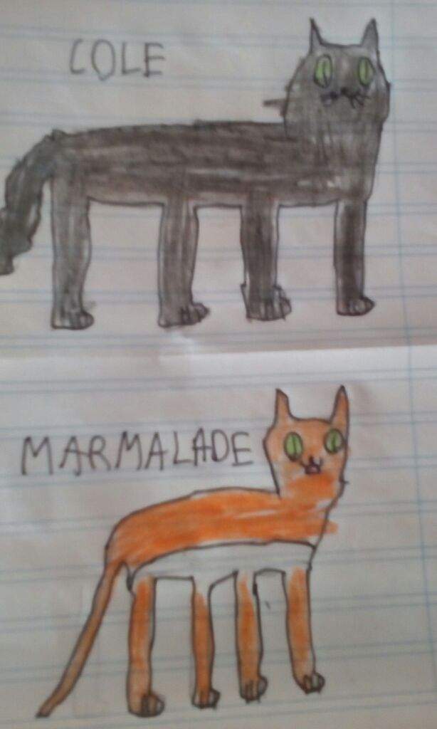 Dibujo de Cole y Marmalade | Castle Cats (OFICIAL) Amino