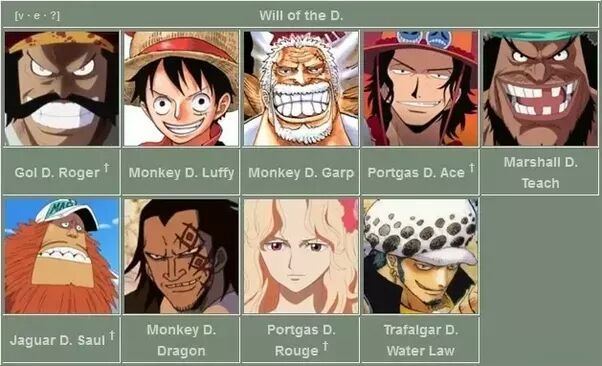 Luffy S Mother Theory One Piece Amino