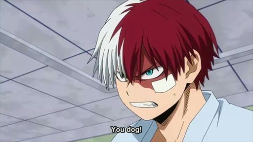 smile todoroki