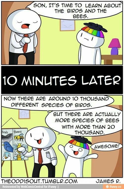 Theodd1sout | Artists For Artists Amino