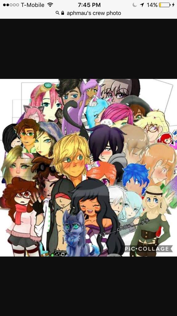 aphmau's crew | Aphmau Amino