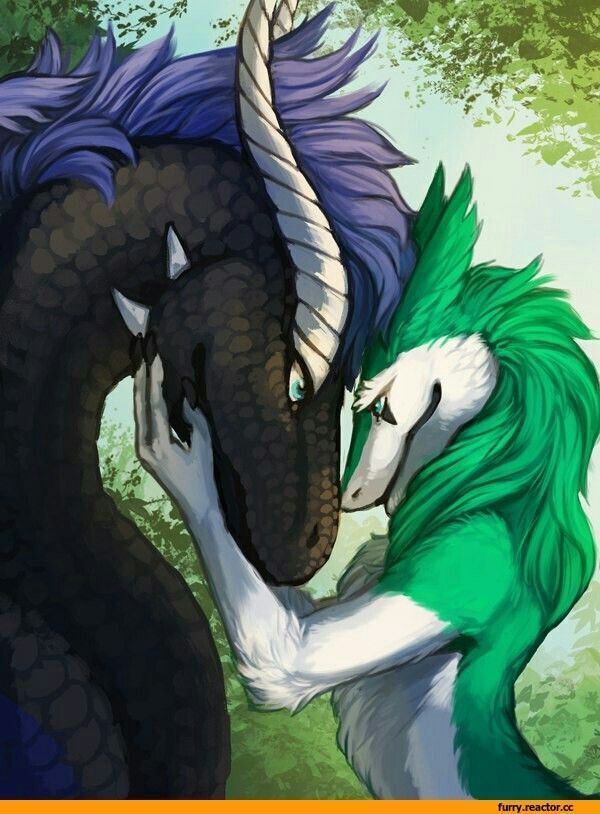 ?❤~Amistad entre lobos y dragones~❤? | °•Mundo Furry y Brony•° Amino