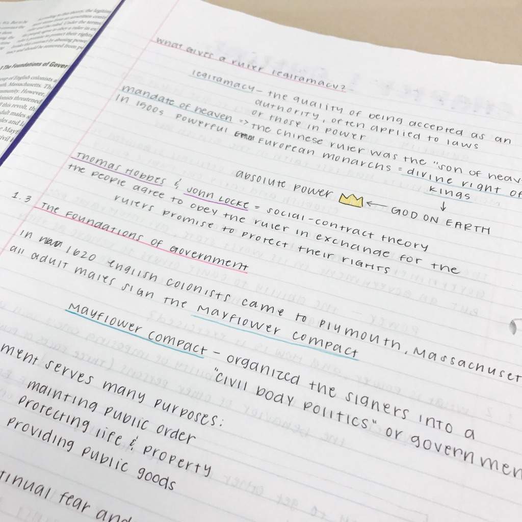 AP Government Notes | Studying Amino Amino