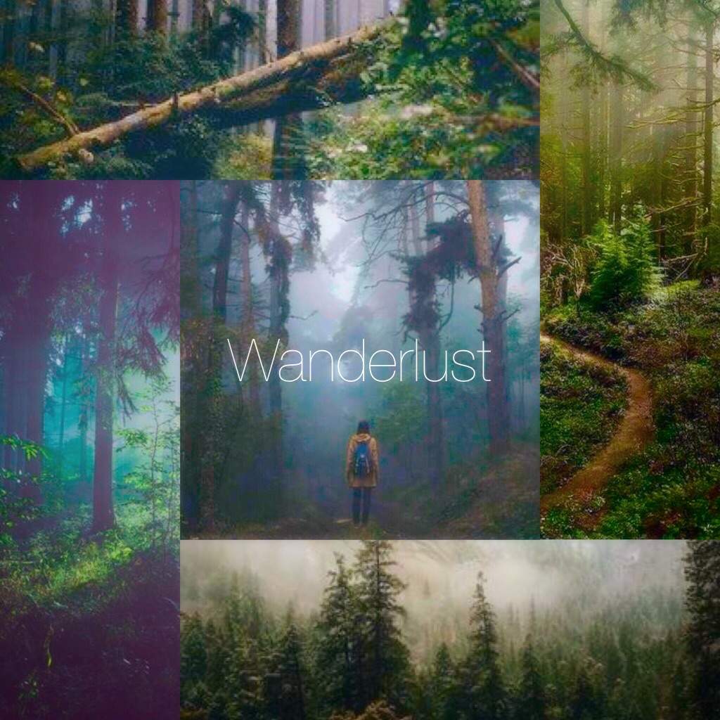 Wanderlust Forest Aesthetic Official Aesthetic Amino