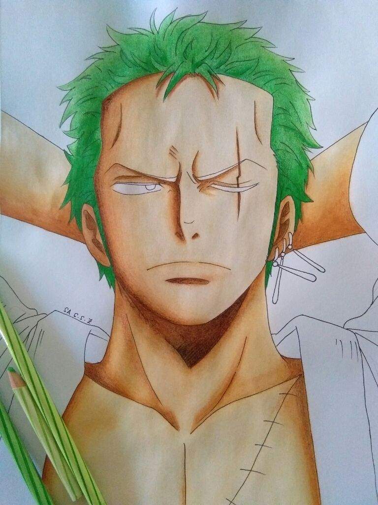 Roronoa Zoro's Portrait | One Piece Amino