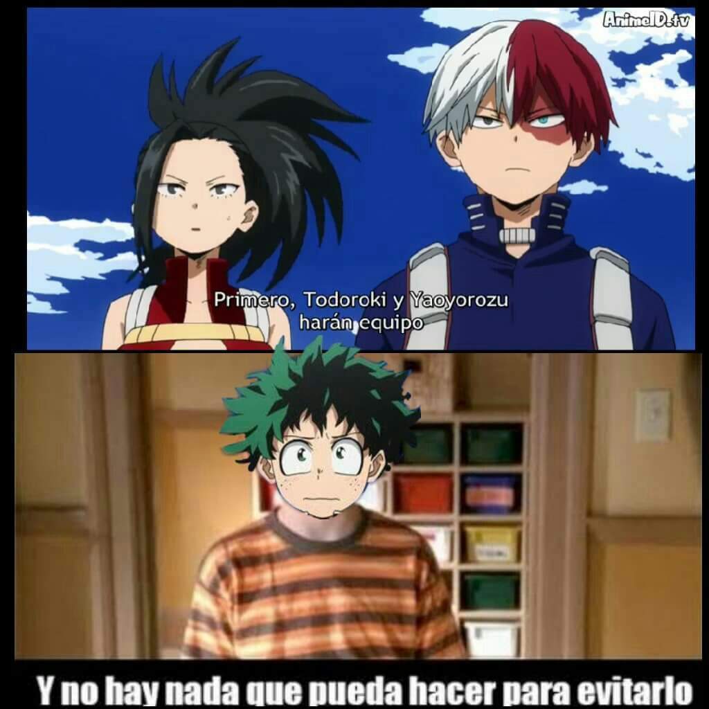 Memes Tododeku | Boku No Hero Academia Amino. Amino