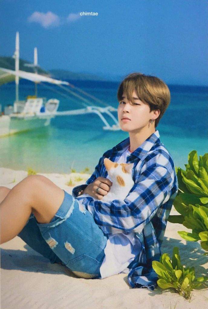 Jimin with cat's is my aesthetic🐱 😍 | K-Pop Amino