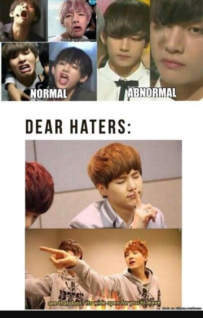 What Should I Say To Bts Haters