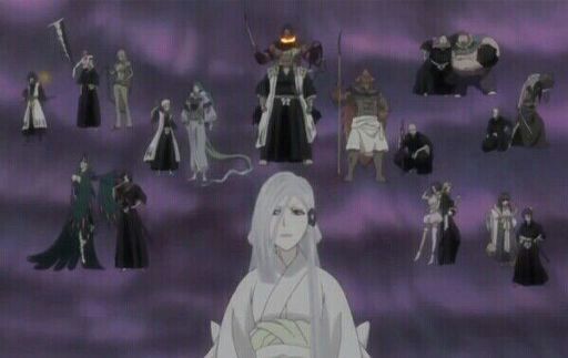 most hated things in bleach anime fillers bleach amino zanpakuto human form