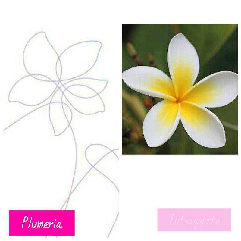 LOVE YOURSELF FLOWERS ARMY's Amino