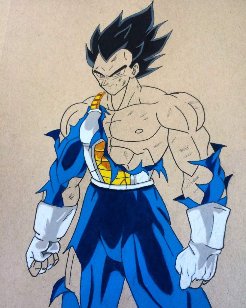 vegeta galaxy breaker