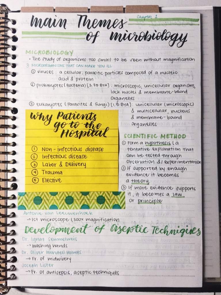 Microbiology Notes | Studying Amino Amino