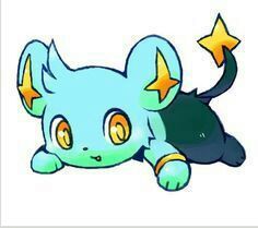 Shinx/Kyu | Wiki | Pokémon Amino Em Português Amino