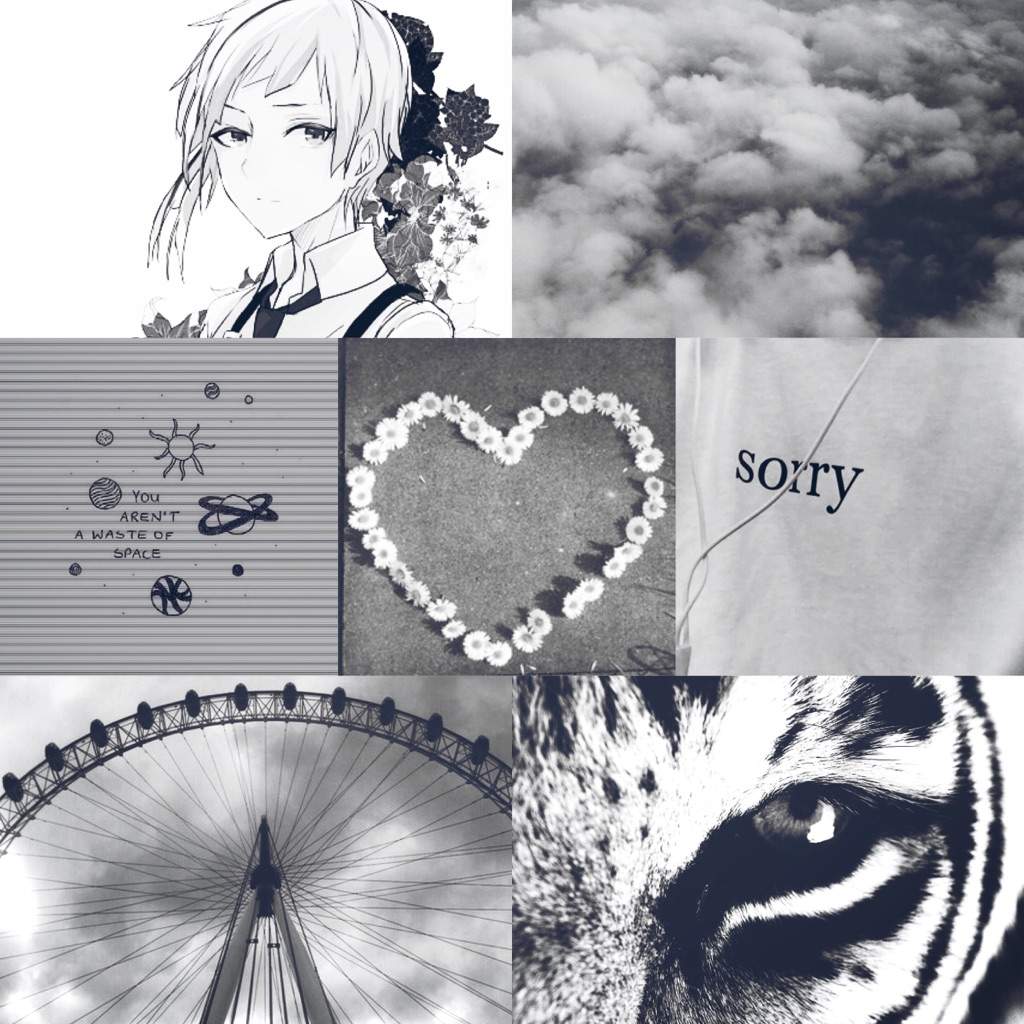 19+ Wonderful Bungou Stray Dogs Aesthetic Pictures