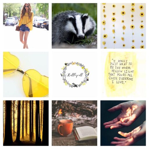 Hufflepuff mood board 😊 | Harry Potter Amino