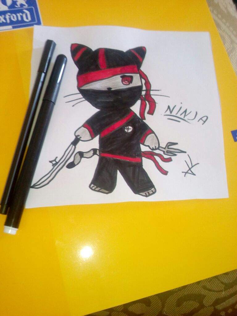 Mon Dessin Chat Ninja Anime Et Manga Amino