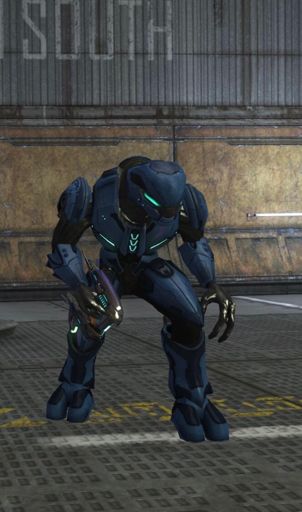 The Sangheili | Wiki | Forced Domain Amino