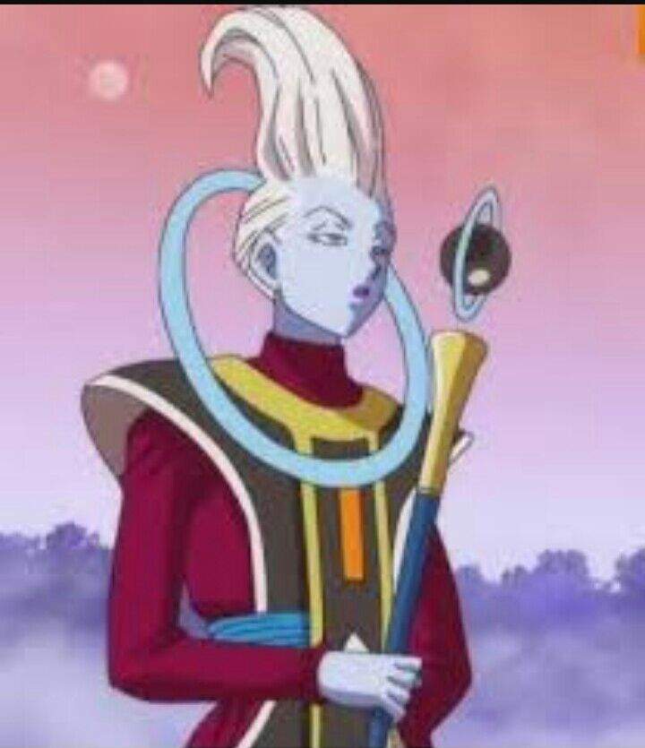 Les tengo una pregunta q a creado discordia en DBZ Wiss es mujer o ...