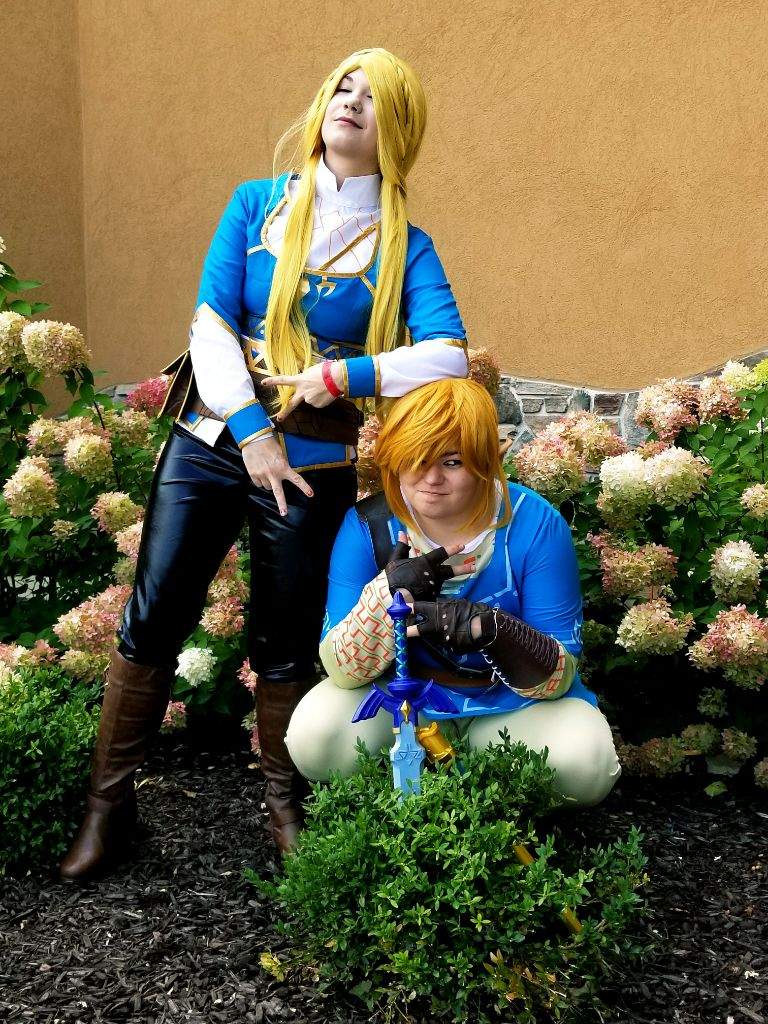 The Legend of Zelda | Cosplay Amino