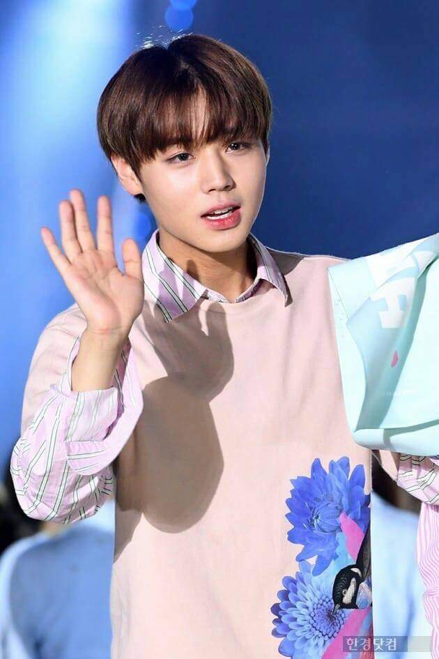 Park Ji Hoon | Wiki | K-Pop Amino