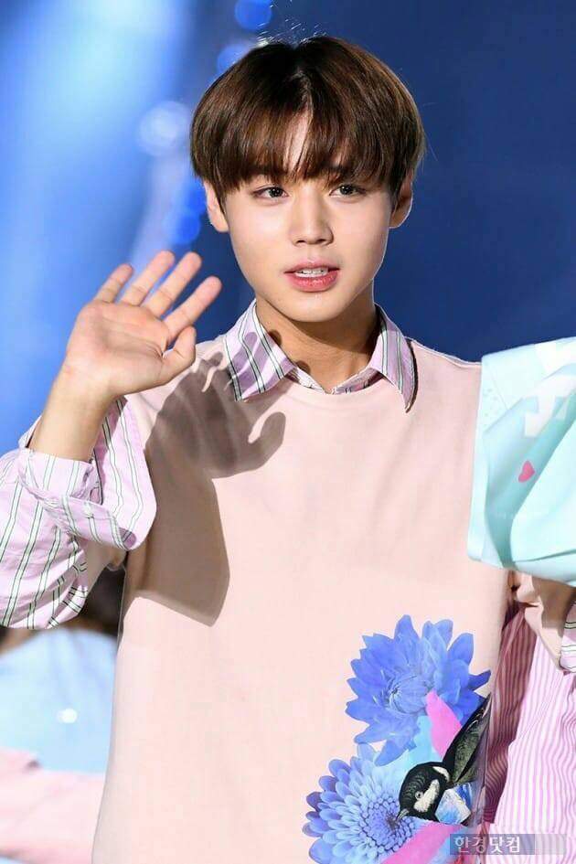 Park Ji Hoon | Wiki | K-Pop Amino