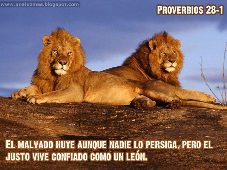 Tatuajes de leones y su significado | Love Tattoos Amino