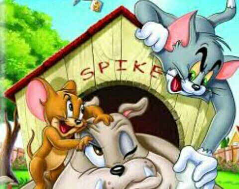 هل أنت من محبي Tom and Jerry؟ حقائق لم تعرفها عن كرتونك المفضل 8f7e6e30333f2bb9601f5307f131759eda0c9b9a_hq