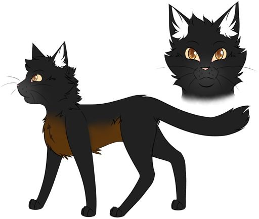 Efeusee 🌿 German Warrior Cats Amino