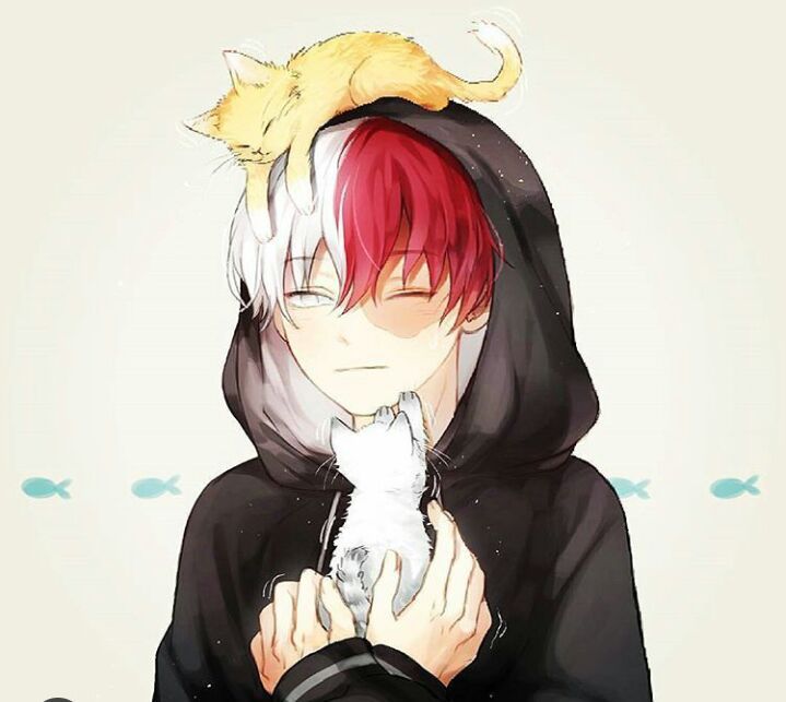 Todoroki Shouto | Boku No Hero Academia Amino. Amino