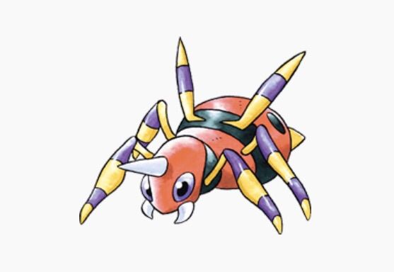 Tarantula Pokemon