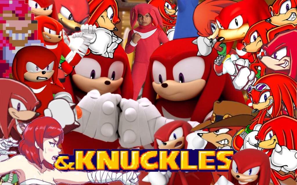 KNUCKLES' Collage.