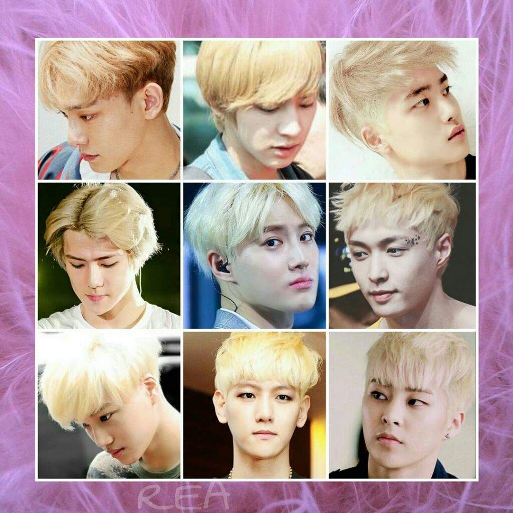 Exo Diy Exo Hair Colors Which One Do U Like The Most Meme