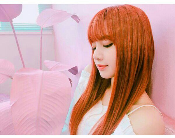 LALISA IN #AESTHETIC | BLINK (블링크) Amino