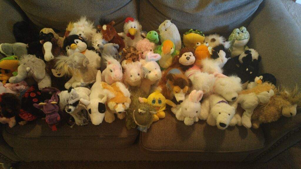 webkinz collection