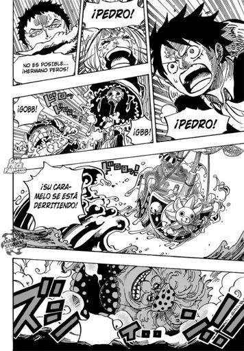 One Piece Capitulo 878 Anime Amino