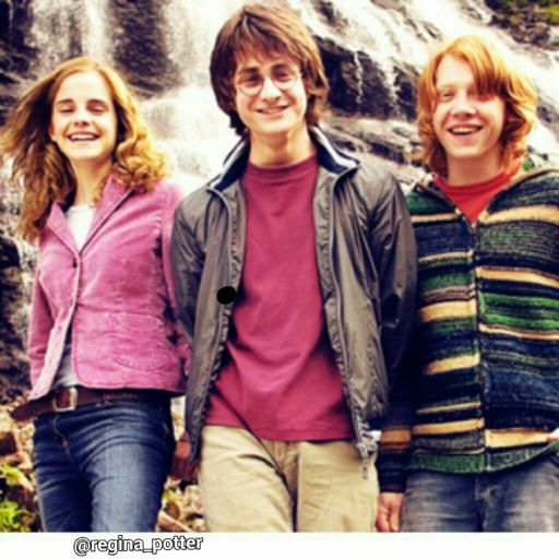 Three musketeers | Wiki | Harry Potter Amino