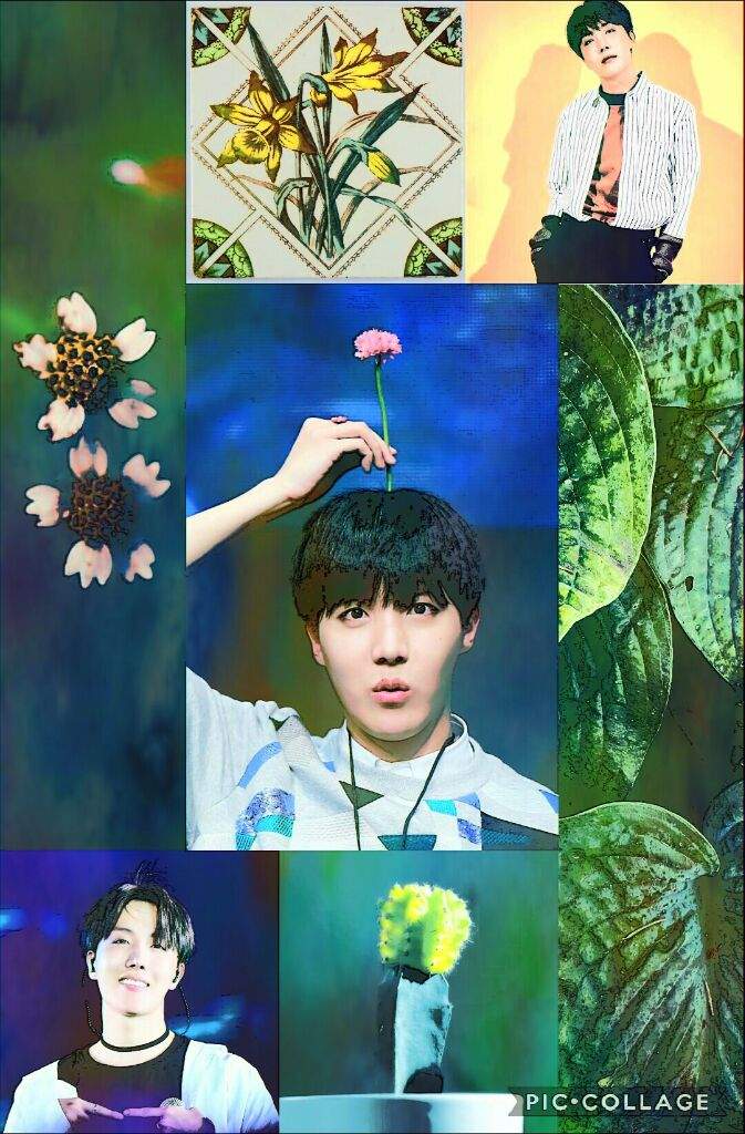 ☀hobi Aesthetic☀ Army Aesthetics ♛ Amino