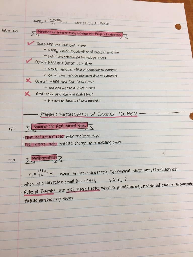 Economics notes | Studying Amino Amino