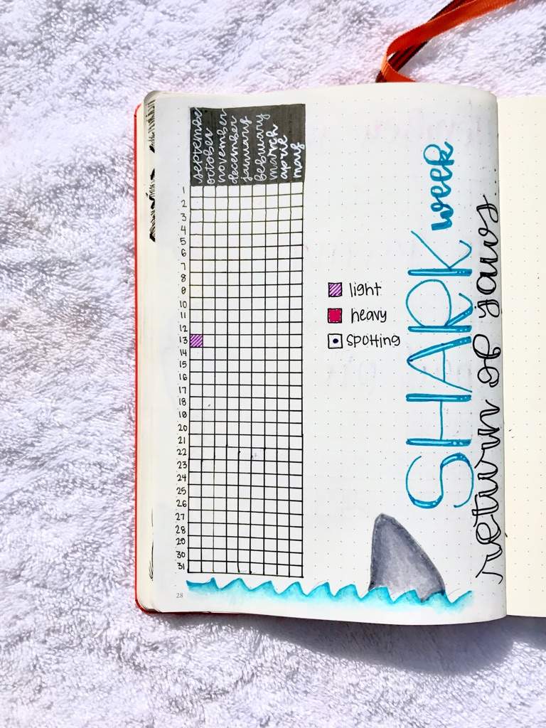 Shark Week Bullet Journal Amino