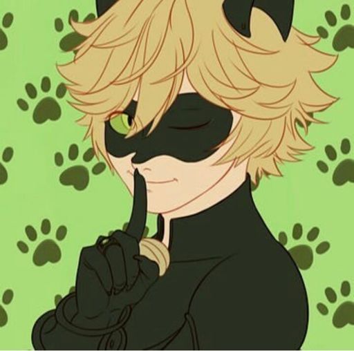 chat noir | Wiki | •Mundo Animado• Amino