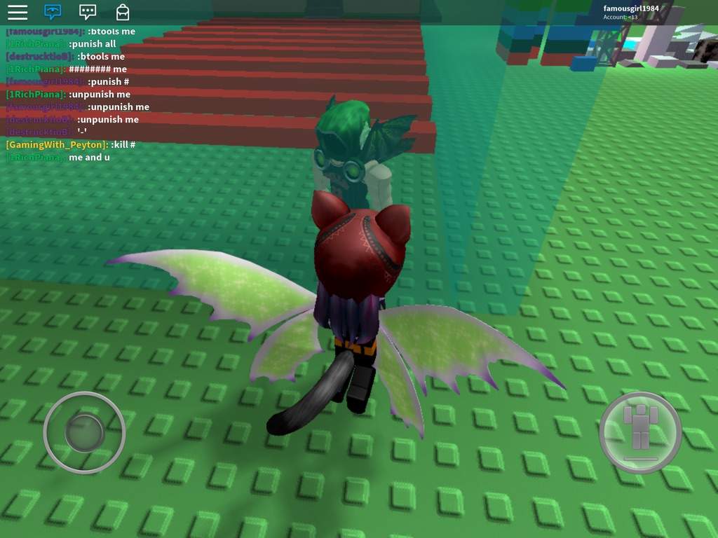 rich dominus roblox character