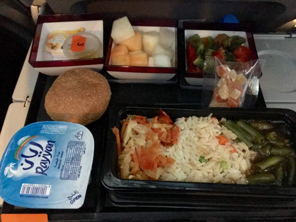 Qatar airways vegan meal | Vegan Amino