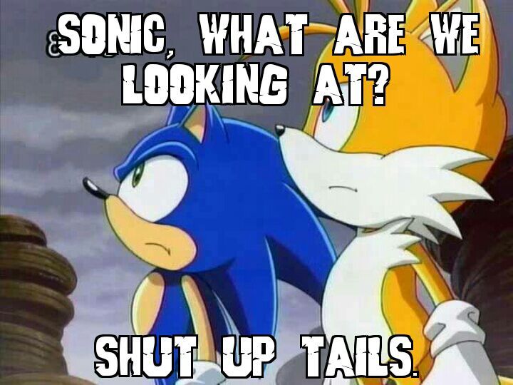 What Sonic is REALLY thinking. | Sonic the Hedgehog! Amino