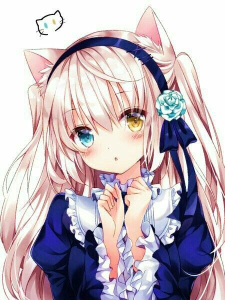 Trop Cute Anime Et Manga Amino