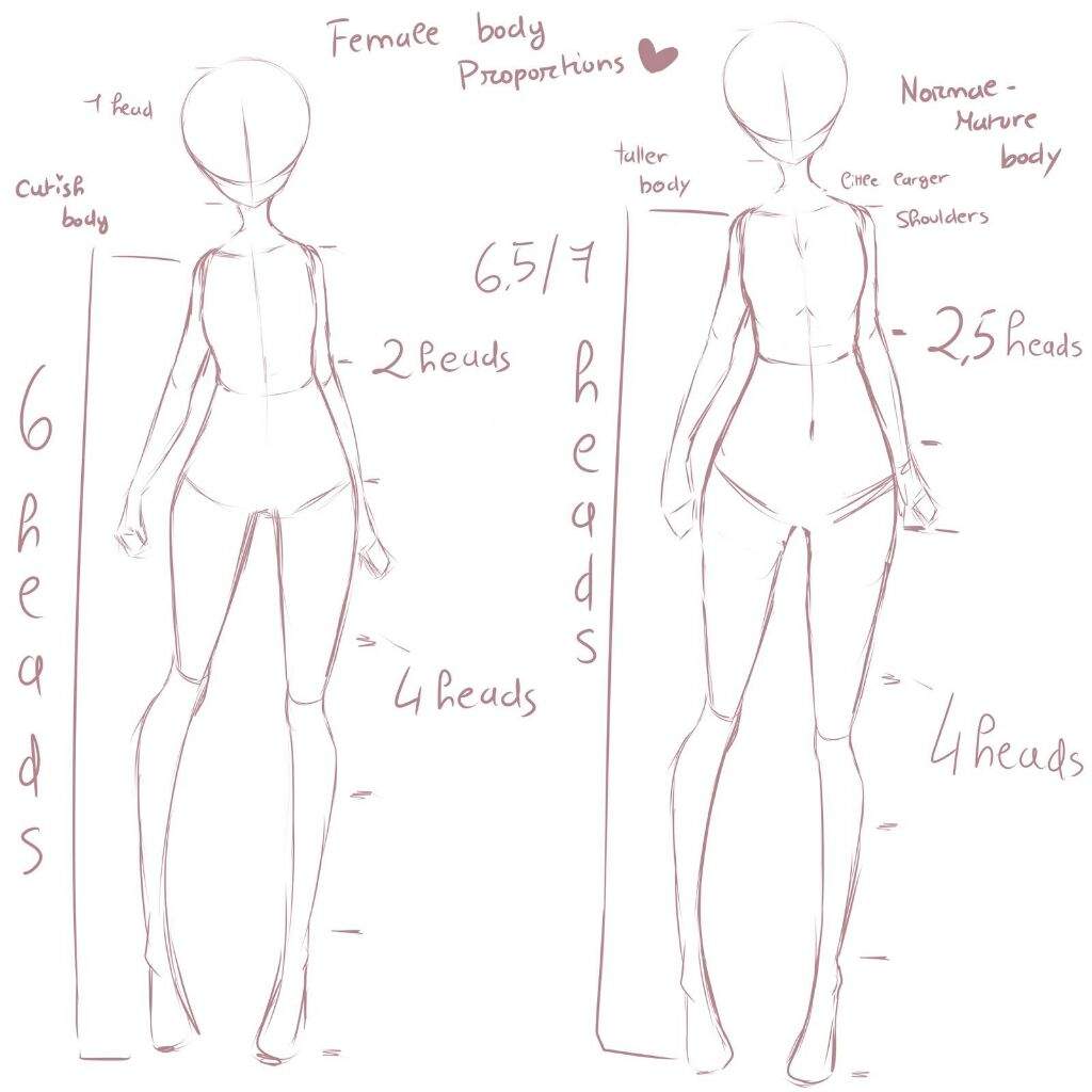 Featured image of post Body Proportions Anime Completely redid the video because i got it wrong last time