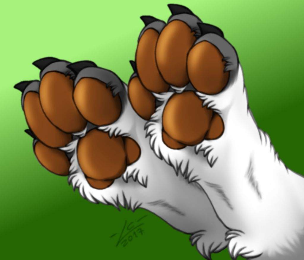 🐾 Fluffy Paws Ych 🐾 Only 8 Furry Amino