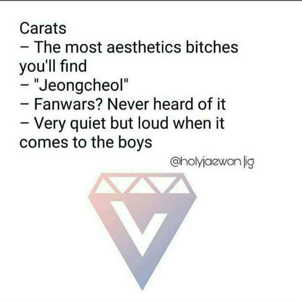 Meme Meme Meme Meme Seventeen Carat Amino