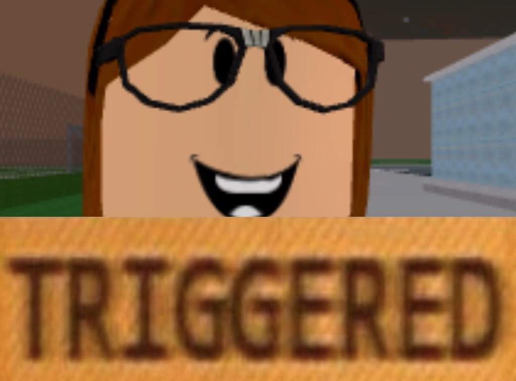 Can We Stop These Triggered People On Roblox Amino Roblox Amino - roblox anthro roblox amino