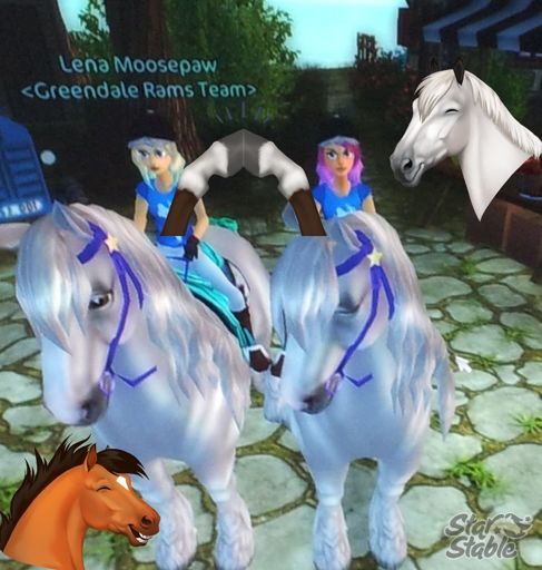 Starstable Stickers 🐎🐴😁 | Star Stable Online Amino