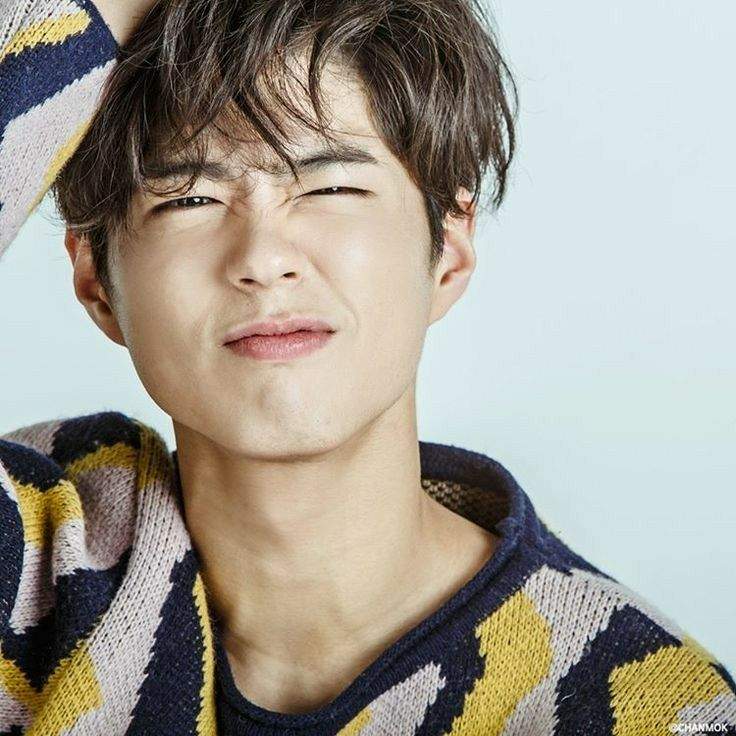 Park Bo-gum 